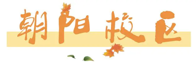 为什么可靠的篮球技术指导对初学者很重要?_0